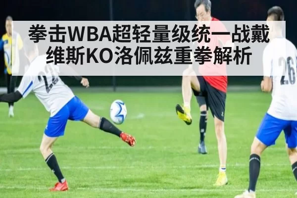 拳击WBA超轻量级统一战戴维斯KO洛佩兹重拳解析