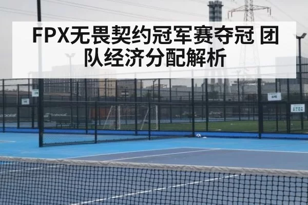 FPX无畏契约冠军赛夺冠 团队经济分配解析
