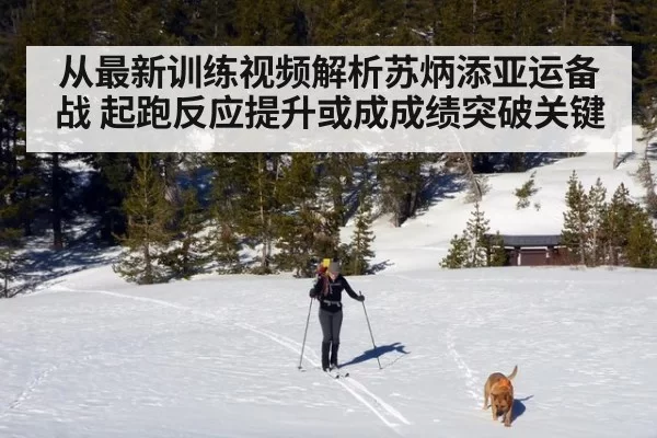 从最新训练视频解析苏炳添亚运备战 起跑反应提升或成成绩突破关键